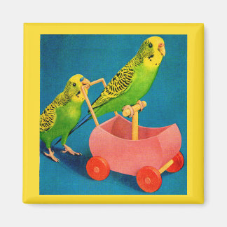 two parakeets magnet