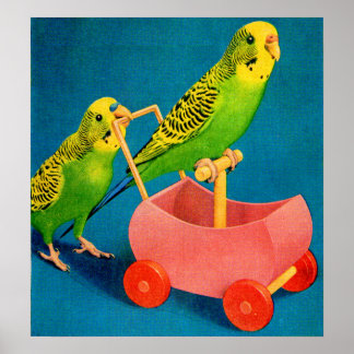 two parakeets poster