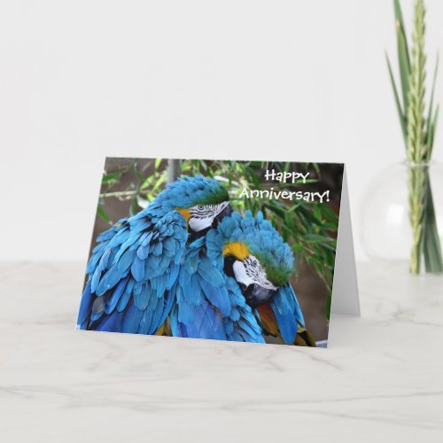 Two Parrots Happy Anniversary Greeting Card