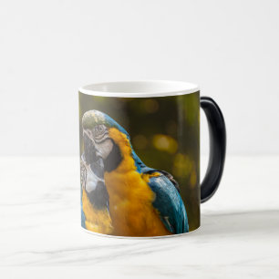 Two Parrots Tropical Birds  Color Morph Mug