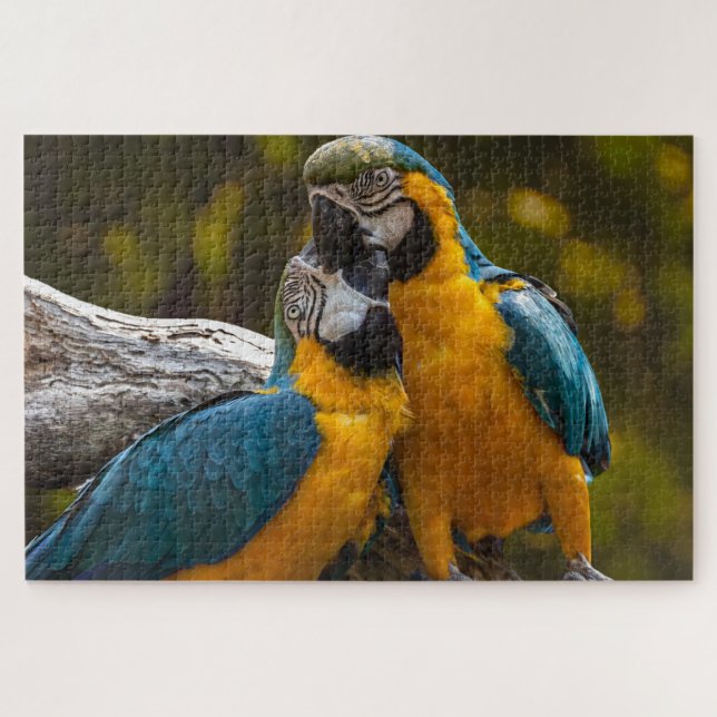 Two Parrots Tropical Birds Jigsaw Puzzle (Horizontal)