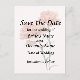 Two Peach and Pink Carnations Announcement Postcard