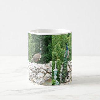 Two Peacock Garden Photo  White Mug