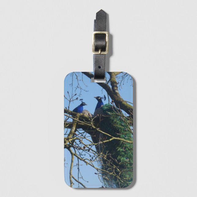 Two Peacocks in a Tree Luggage Tag (Front Vertical)