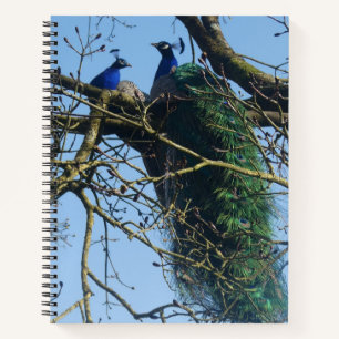 Two Peacocks in a Tree Notebook