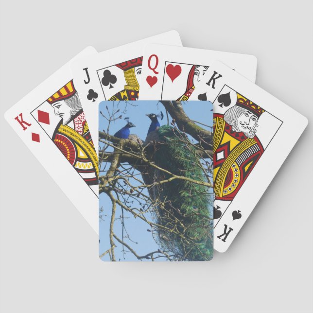 Two Peacocks in a Tree Poker Cards (Back)