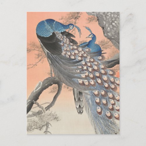 Two Peacocks on Tree Branch by Ohara Koson Postcard