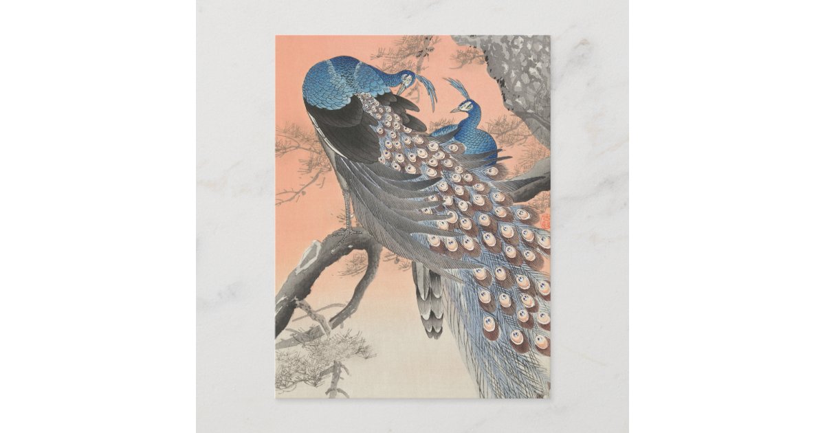 Two Peacocks on Tree Branch by Ohara Koson Postcard | Zazzle