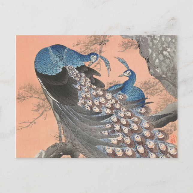 Two peacocks on tree branch vintage postcard (Front)