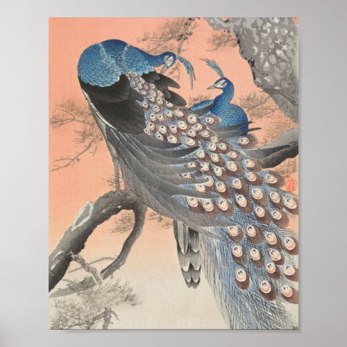 Two peacocks on tree branch vintage poster