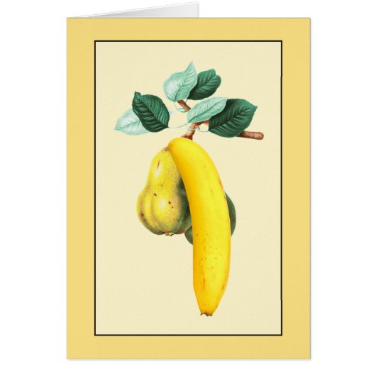 Two Pears and a Banana Cards (Front)