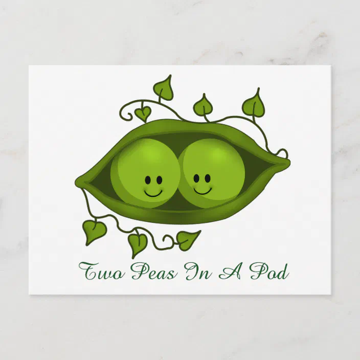 Two Peas In A Pod Postcard Zazzle Com