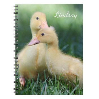 Two Pekin Ducklings Notebook by backyardwonders at Zazzle