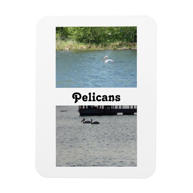 Two Pelicans Flexible Magnet (Vertical)