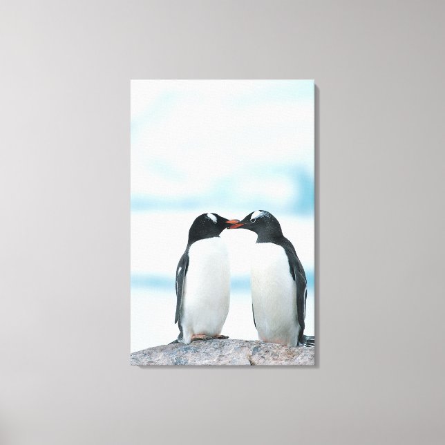 Two Penguins touching beaks Canvas Print (Front)