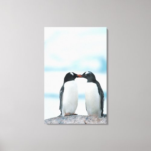 Two Penguins touching beaks Canvas Print