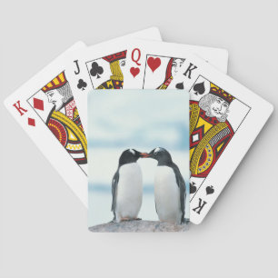 Two Penguins touching beaks Poker Cards