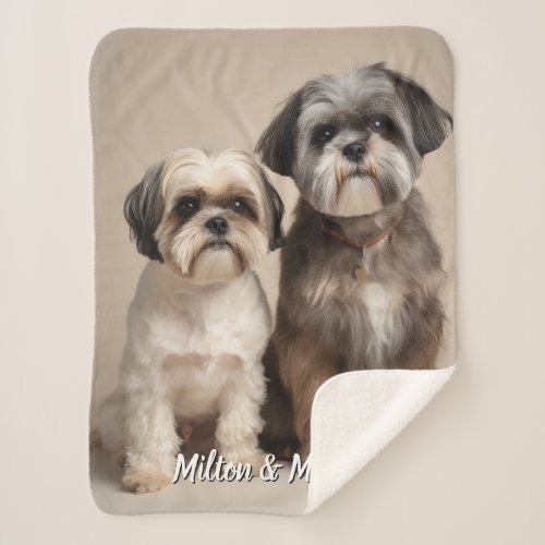 Two Pet Custom Blanket with Photo Memorial Gift 