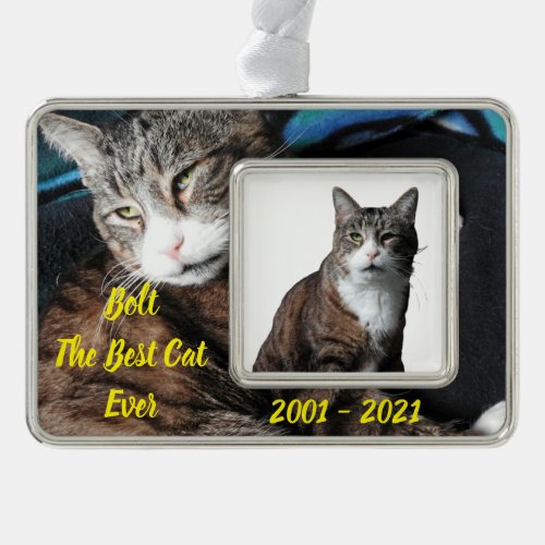 Two Photos Quote Best Cat Ever Name and Years  Christmas Ornament
