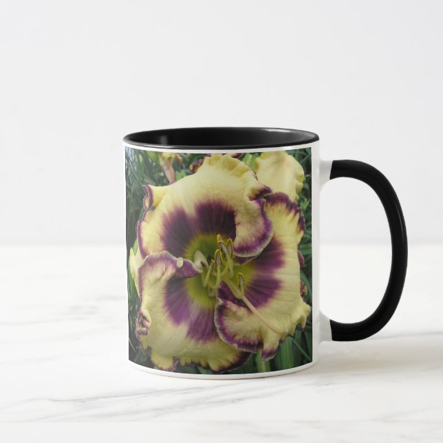 Two Picture Mug (Right)