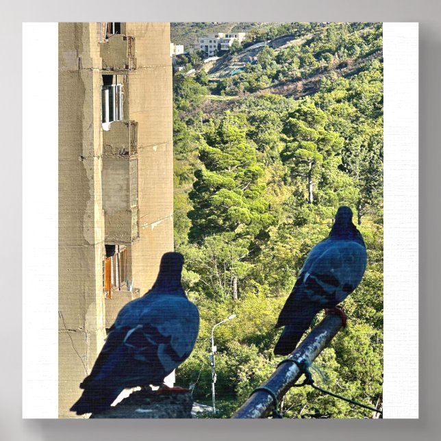 Two pigeons  foam core photo tile  (Front Set)
