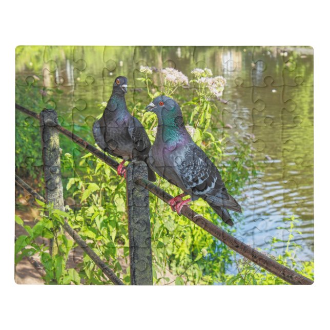 Two Pigeons. Roath Park Lake, Cardiff, Wales. Jigsaw Puzzle (Puzzle Horizontal)