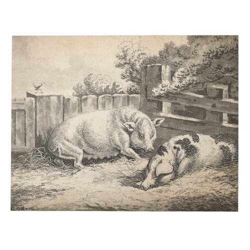 Two Pigs Lying in Straw in an Outdoor Pen Notepad