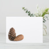 Two pinecones (Standing Front)