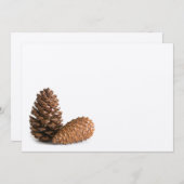 Two pinecones (Front/Back)