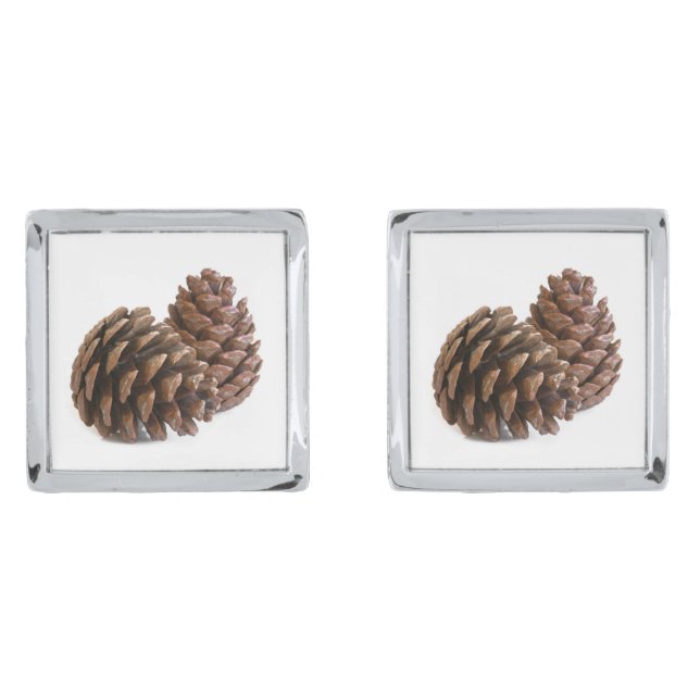 Two pinecones cufflinks (Front)