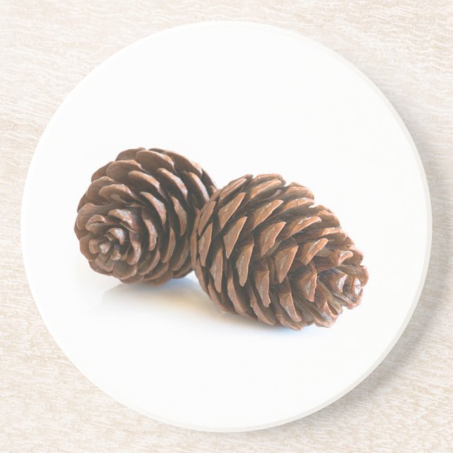 Two pinecones drink coaster (Front)