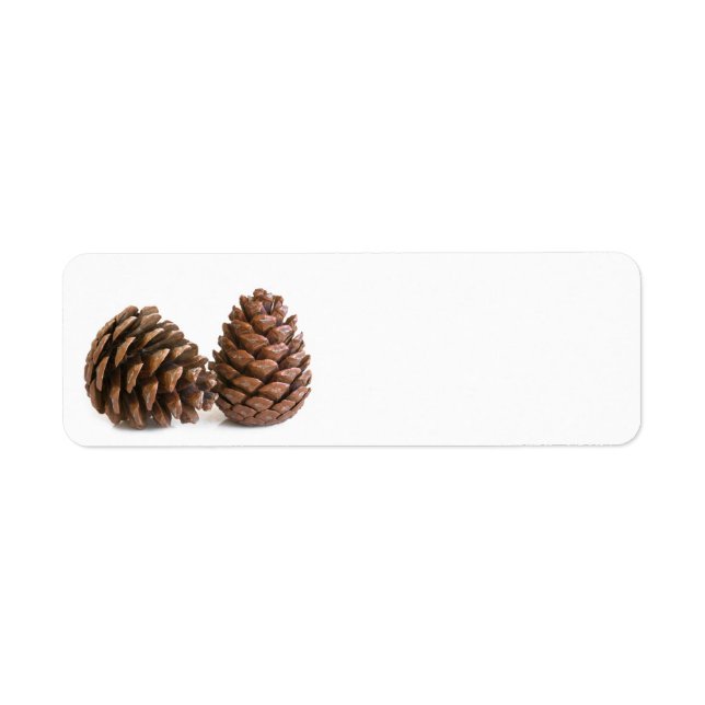 Two pinecones label (Front)