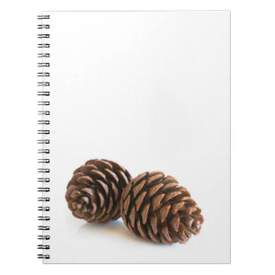 Two pinecones notebook