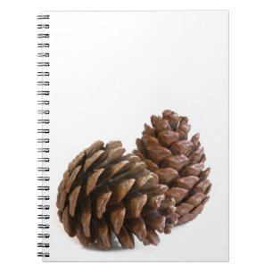 Two pinecones notebook