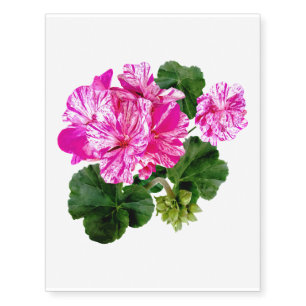Two Pink and White Striped Geraniums Temporary Tattoos