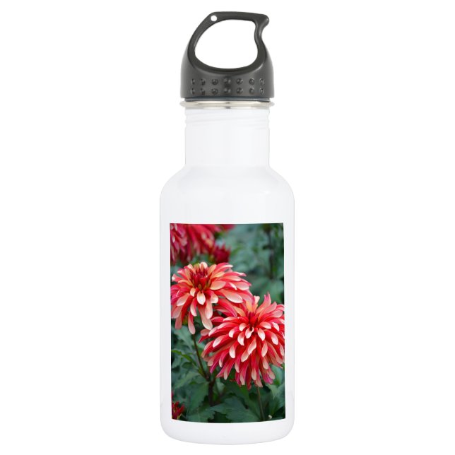 Two pink dahlia flowers water bottle (Front)