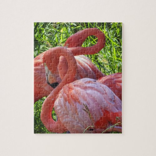 Two Pink Flamigoes Jigsaw Puzzle
