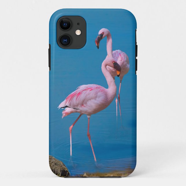 Two Pink Flamingos Case-Mate iPhone Case (Back)