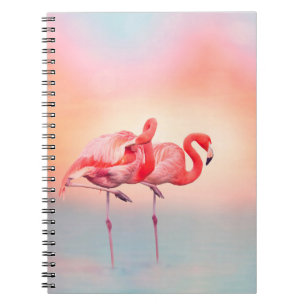 Two Pink flamingos in the water at sunsetflamingo, Notebook