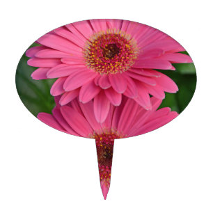 Two pink gerber flowers cake topper