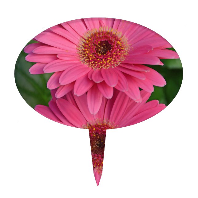Two pink gerber flowers cake topper (Front)
