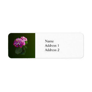 Two Pink Hydrangea Label