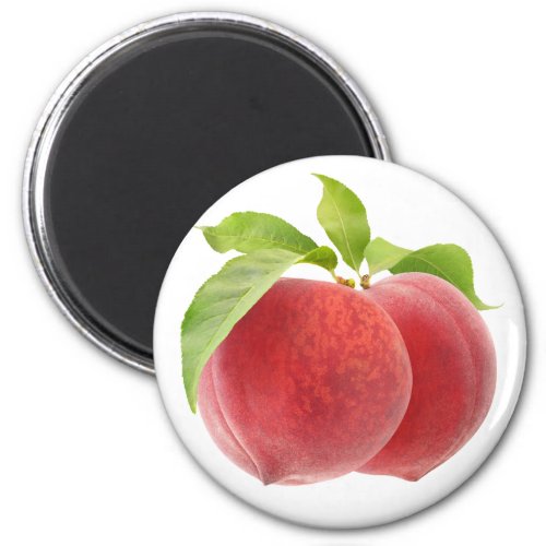 Two pink peaches magnet