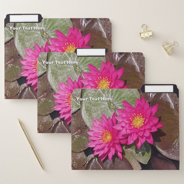 Two Pink Water Lilies File Folder (Set)