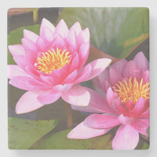 "TWO PINK WATER LILIES" STONE COASTER
