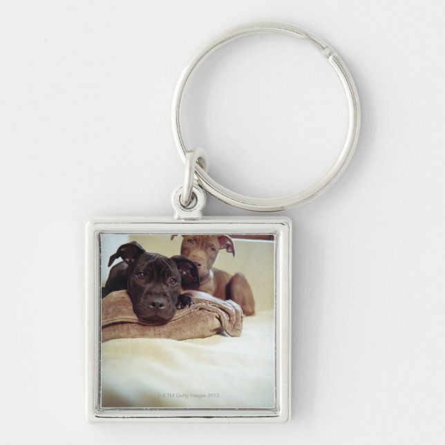 Two pit bull terriers sitting indoors, close-up keychain (Front)