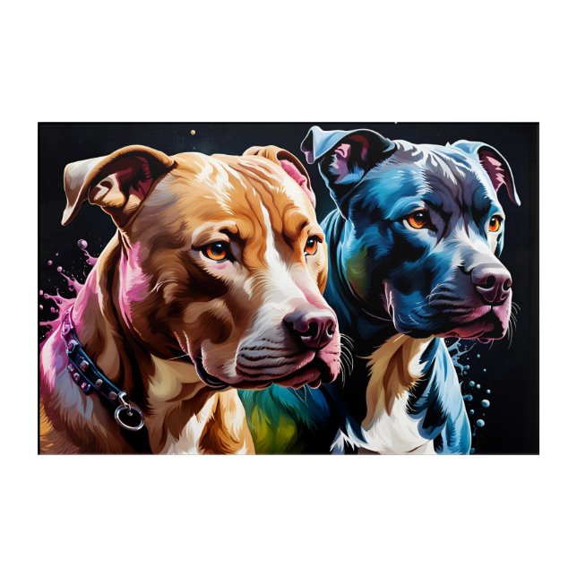 Two Pit Bulls portrait  Acrylic Print (Front)