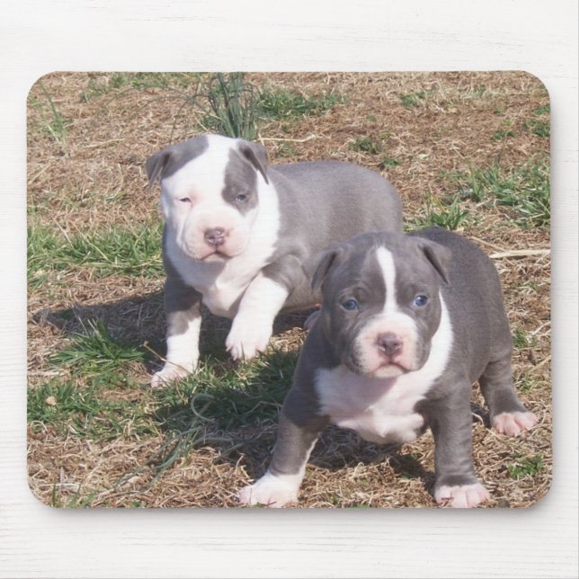TWO PITBULL PUPS MOUSE PAD (Front)