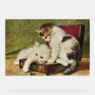 Two Playful Kittens Acrylic Sign