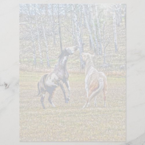 Two Playful Pinto Paint Horses Equine Art Design